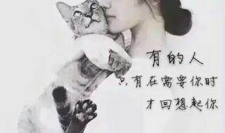 非主流手机墙纸图片 非主流手机墙纸图片