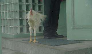 世界奇妙物语2012秋